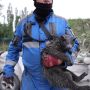 Київ 31 липня 2025