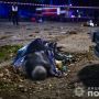 Запоріжжя 8 січня 2025