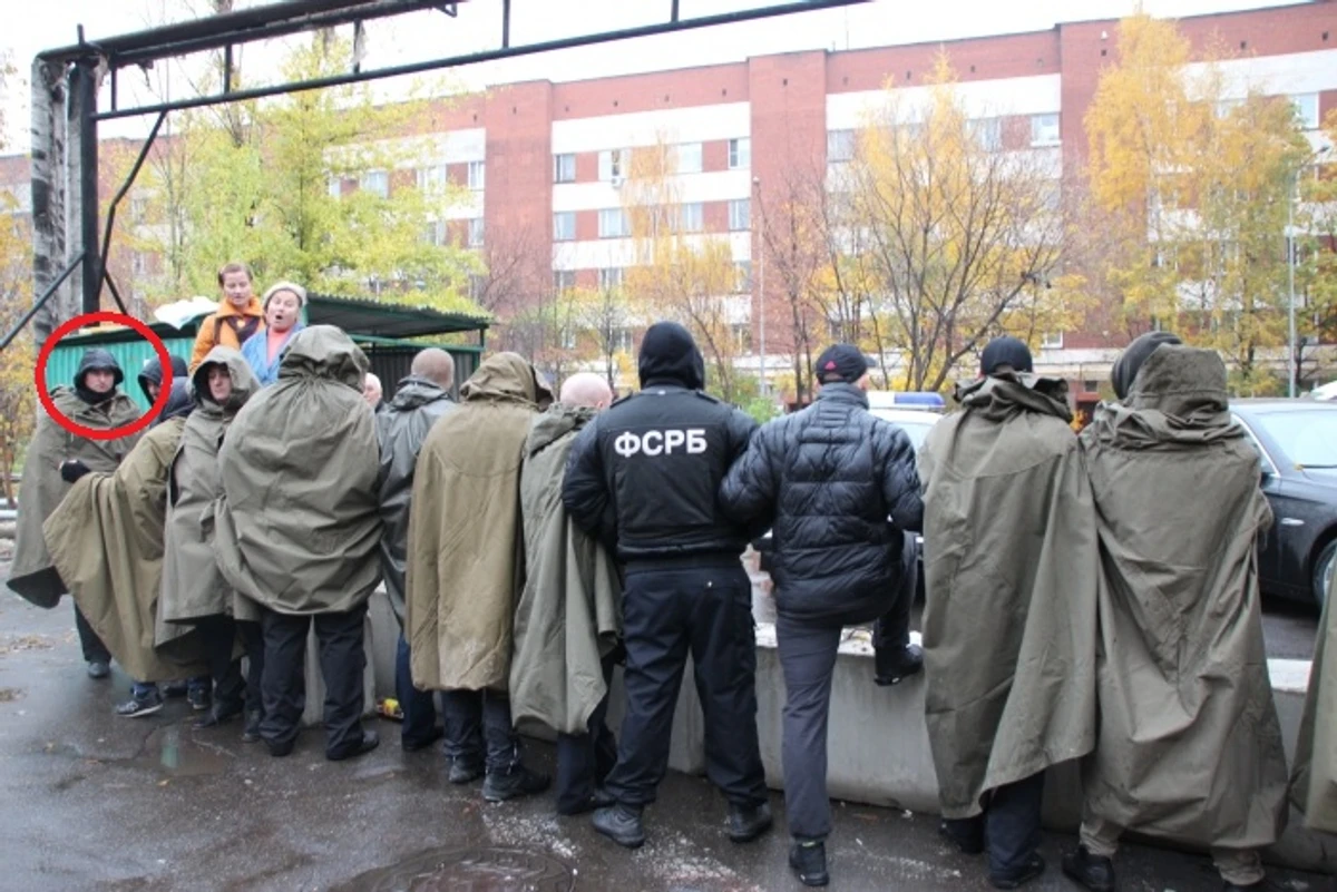 Беркут