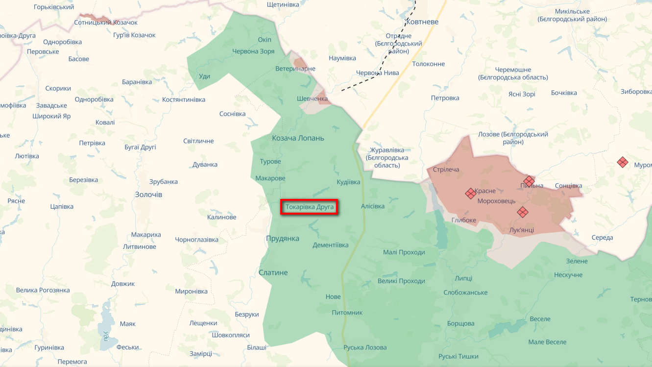 У прикордонному селі Токарівка Друга не залишилося мешканців. Останню жительку вбили росіяни