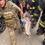 Наслідки авіаударів росіян по Запоріжжю 25 липня 2026 року